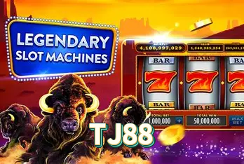 Acesso à conta TJ88