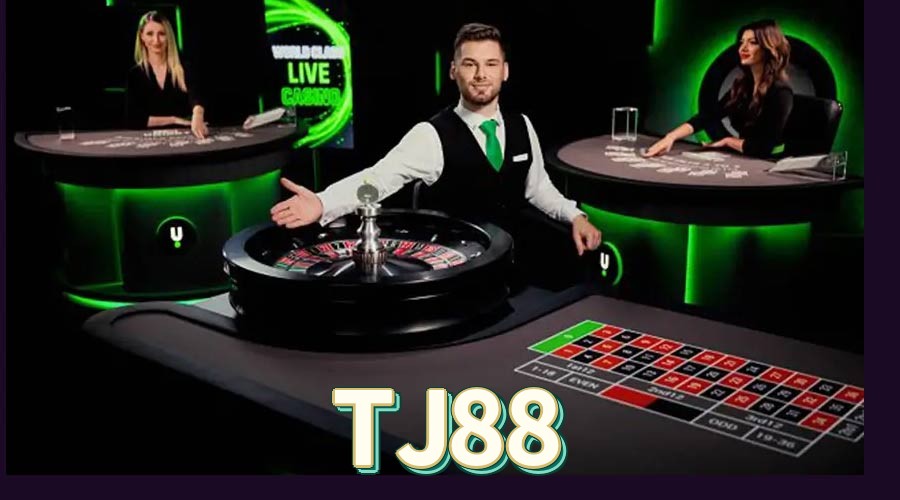 Resumo visual de bônus e campanhas TJ88